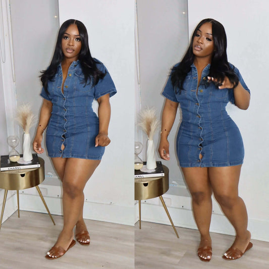Rachiel denim dress